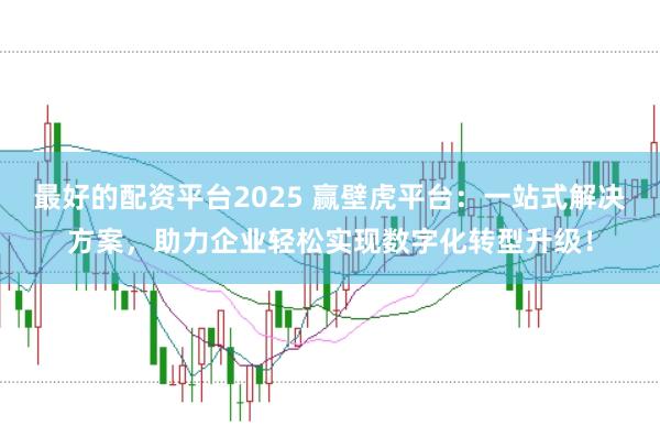 最好的配资平台2025 赢壁虎平台：一站式解决方案，助力企业轻松实现数字化转型升级！