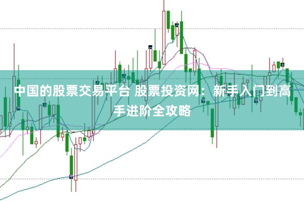 中国的股票交易平台 股票投资网：新手入门到高手进阶全攻略