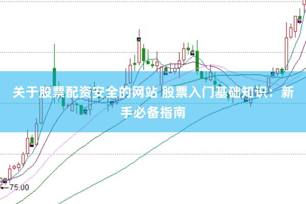 关于股票配资安全的网站 股票入门基础知识：新手必备指南