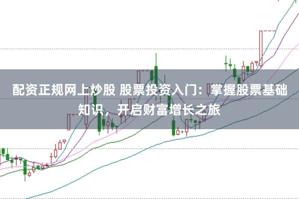 配资正规网上炒股 股票投资入门：掌握股票基础知识，开启财富增长之旅