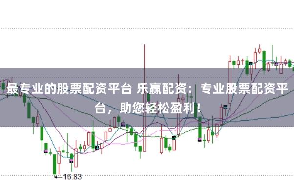 最专业的股票配资平台 乐赢配资：专业股票配资平台，助您轻松盈利！