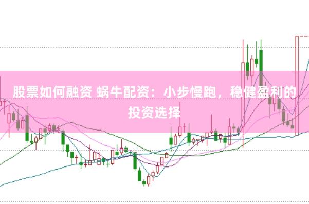 股票如何融资 蜗牛配资：小步慢跑，稳健盈利的投资选择