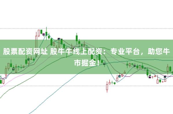 股票配资网址 股牛牛线上配资：专业平台，助您牛市掘金！