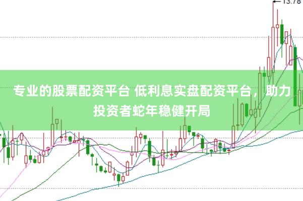 专业的股票配资平台 低利息实盘配资平台，助力投资者蛇年稳健开局
