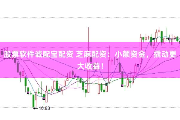 股票软件诚配宝配资 芝麻配资：小额资金，撬动更大收益！