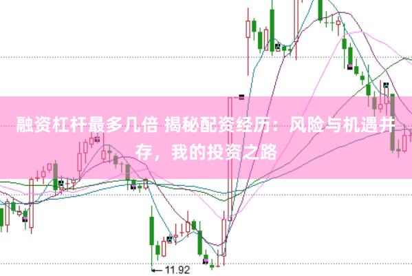 融资杠杆最多几倍 揭秘配资经历：风险与机遇并存，我的投资之路