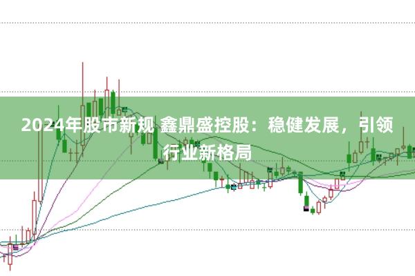 2024年股市新规 鑫鼎盛控股：稳健发展，引领行业新格局