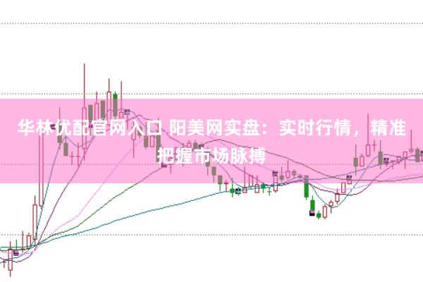 华林优配官网入口 阳美网实盘：实时行情，精准把握市场脉搏