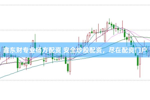 鑫东财专业杨方配资 安全炒股配资,尽在配资门户