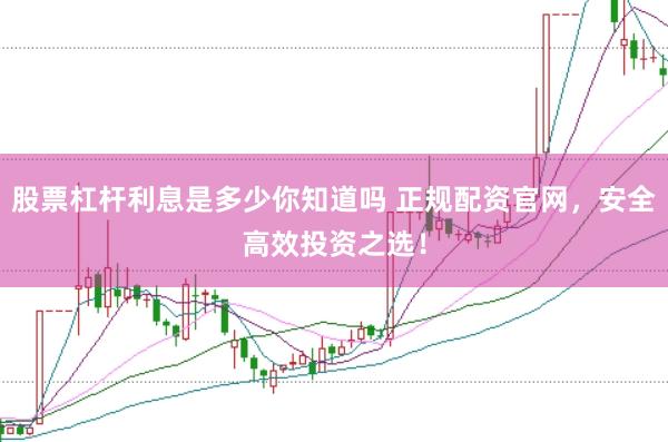股票杠杆利息是多少你知道吗 正规配资官网,安全高效投资之选!