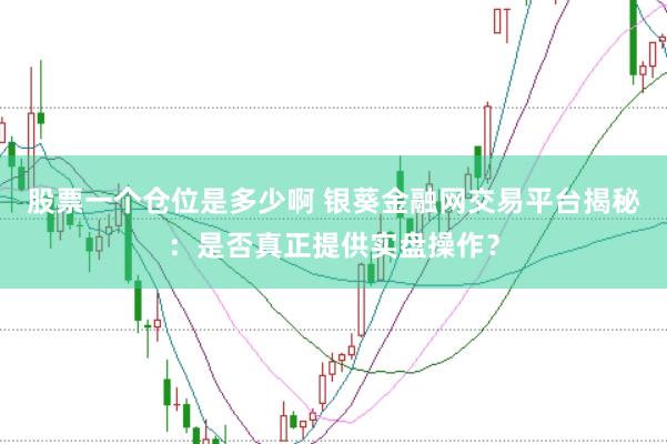 股票一个仓位是多少啊 银葵金融网交易平台揭秘:是否真正提供实盘操作?