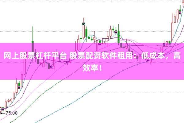 网上股票杠杆平台 股票配资软件租用:低成本,高效率!