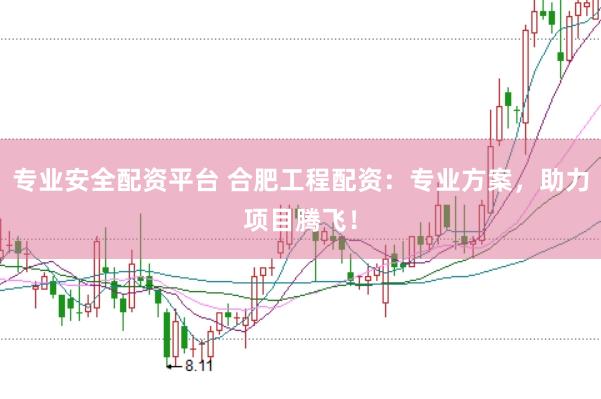 专业安全配资平台 合肥工程配资:专业方案,助力项目腾飞!