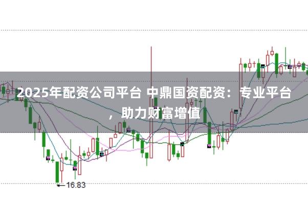 2025年配资公司平台 中鼎国资配资：专业平台，助力财富增值